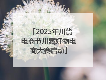 2025年川货电商节川藏好物电商大赛启动