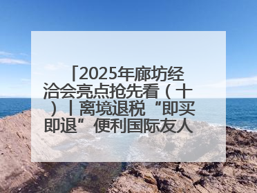 2025年廊坊经洽会亮点抢先看（十）丨离境退税“即买即退”便利国际友人“买买买”