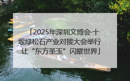 2025年深圳文博会·十堰绿松石产业对接大会举行 让“东方圣玉”闪耀世界