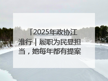 2025年政协江淮行｜履职为民显担当，她每年都有提案被评为“优秀”