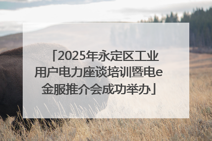 2025年永定区工业用户电力座谈培训暨电e金服推介会成功举办