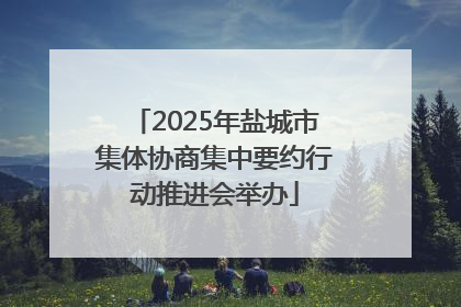 2025年盐城市集体协商集中要约行动推进会举办