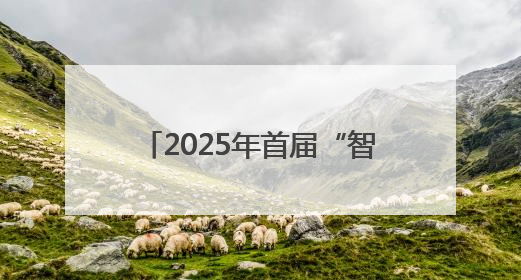 2025年首届“智见未来”数字文旅大赛在西安圆满落幕