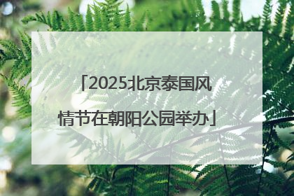 2025北京泰国风情节在朝阳公园举办