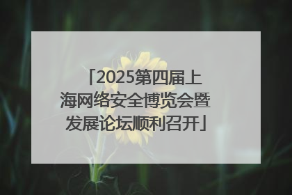 2025第四届上海网络安全博览会暨发展论坛顺利召开