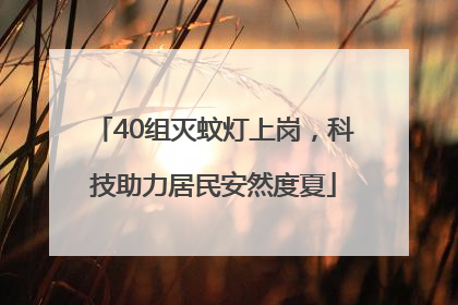40组灭蚊灯上岗，科技助力居民安然度夏