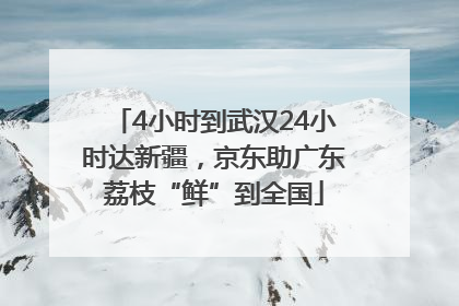 4小时到武汉24小时达新疆，京东助广东荔枝“鲜”到全国