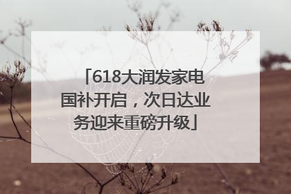 618大润发家电国补开启，次日达业务迎来重磅升级