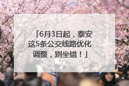 6月3日起，泰安这5条公交线路优化调整，别坐错！