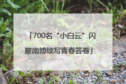 700名“小白云”闪耀南博续写青春答卷