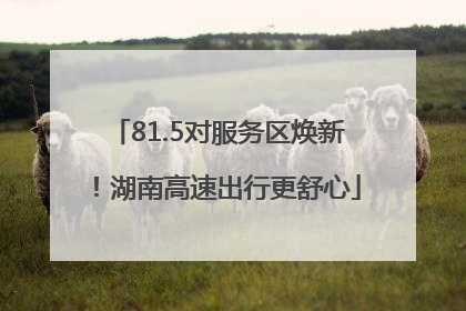 81.5对服务区焕新！湖南高速出行更舒心