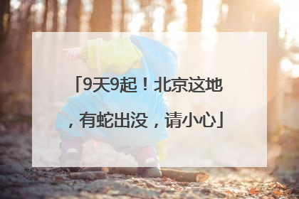 9天9起！北京这地，有蛇出没，请小心