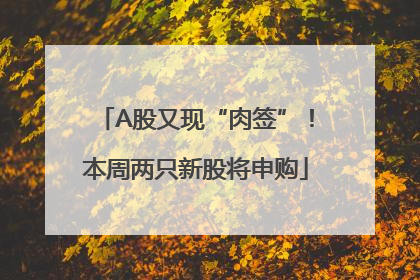A股又现“肉签”！本周两只新股将申购