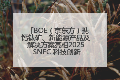 BOE（京东方）携钙钛矿、新能源产品及解决方案亮相2025 SNEC 科技创新赋能行业绿色发展