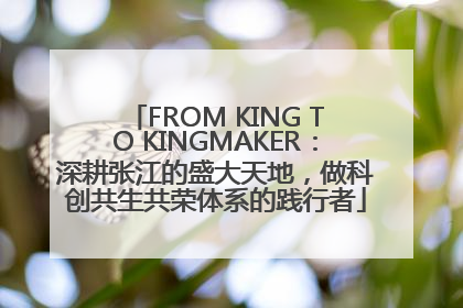 FROM KING TO KINGMAKER：深耕张江的盛大天地，做科创共生共荣体系的践行者