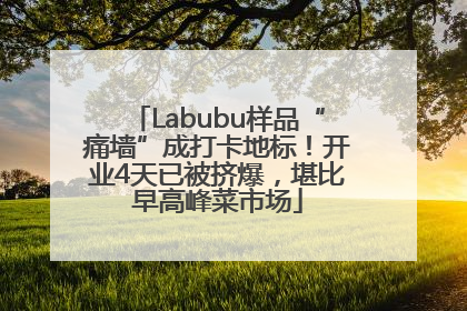 Labubu样品“痛墙”成打卡地标！开业4天已被挤爆，堪比早高峰菜市场